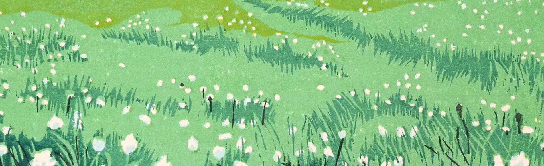 Cotton Grass and Mount Taro, Nikko by Masaya watabe