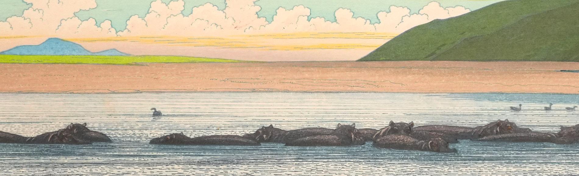 Hippopotamus by Toshi Yoshita