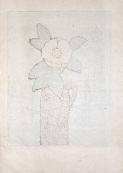 White Camellia by Miyashita, Tokio, Prints