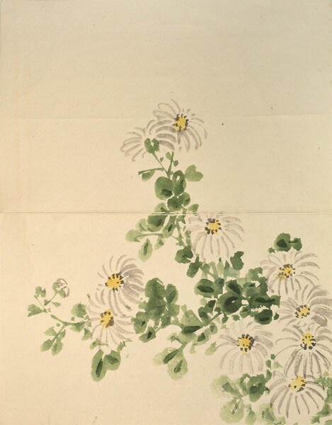 Daisy by Unsigned / Unknown Artist, Woodblock Print
