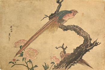 Two Pheasants and Peonies (Meiji Reprint) by Hokusai, Woodblock Print