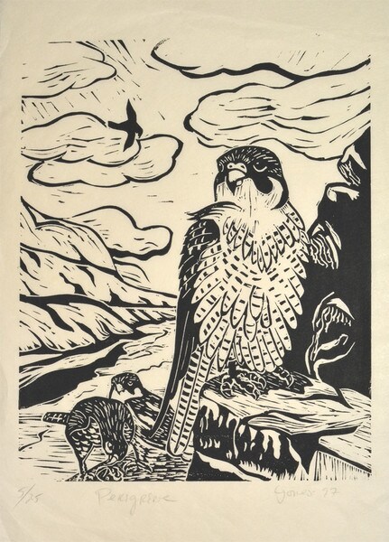 Peregrine, Woodblock Print