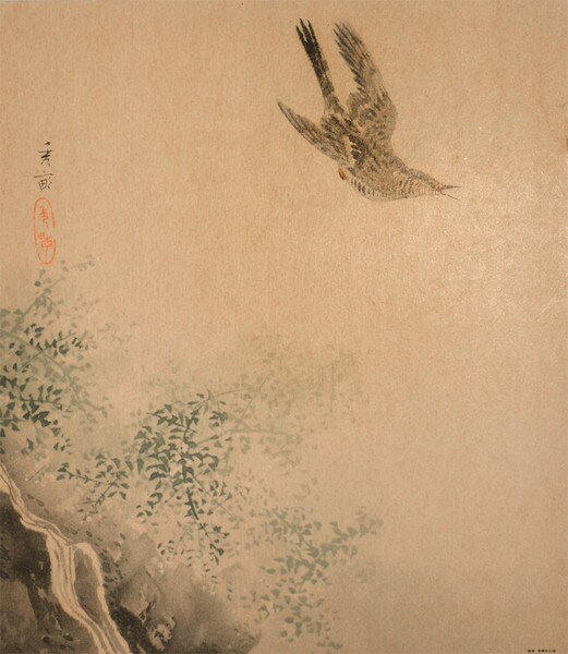Cuckoo, Poster