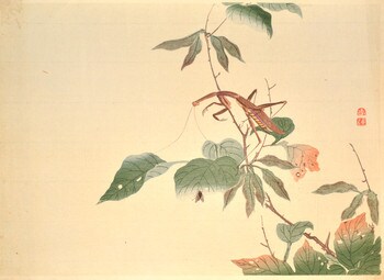 Praying Mantis and Fly by Mori, Shunkei, Woodblock Print