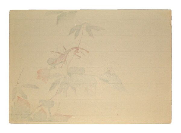 Praying Mantis and Fly by Mori, Shunkei, Woodblock Print