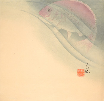Tai Fish by Unsigned / Unknown Artist, Woodblock Print