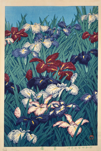 Iris (Ayame) by Hasui, Woodblock Print