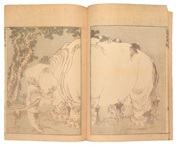 Hokusai Manga by Hokusai, Ehon