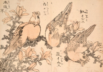 Birds by Hokusai, Woodblock Print