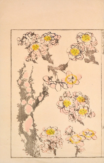 Flowers by Hokusai, Woodblock Print