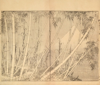 Fuji in a Bambo Grove by Hokusai, Woodblock Print