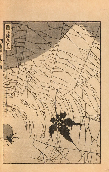 Fuji through a Web by Hokusai, Woodblock Print