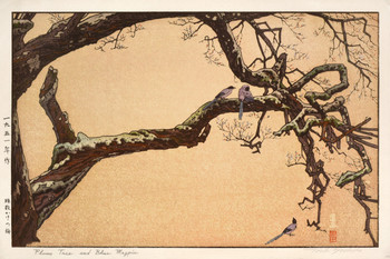 Plum Tree and Blue Magpie by Yoshida, Toshi, Woodblock Print