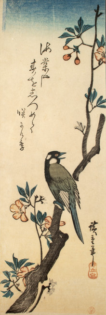 Whitecheeked Bird on Aronia Branch by Hiroshige, Woodblock Print