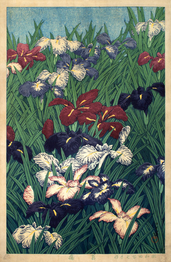 Iris by Hasui, Woodblock Print