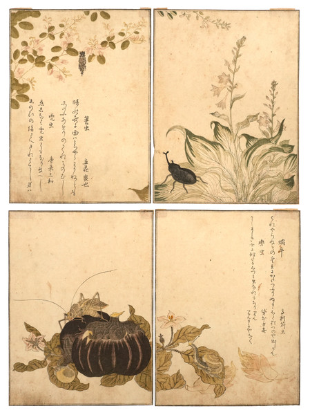 Complete Set: Picture Book of Selected Insects (Ehon Mushi Erami) by Utamaro, Woodblock Print