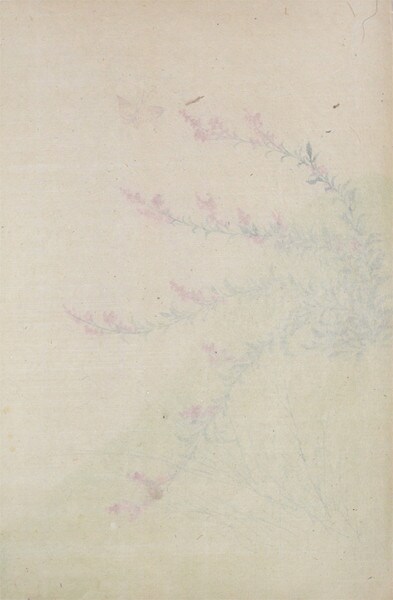 Bush Clover by Unsigned / Unknown Artist, Painting