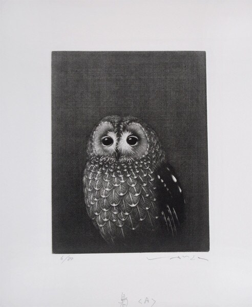 Owl (A) by Ikai, Tadashi, Mezzotint