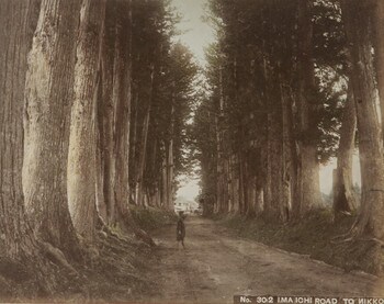 Imaichi Road to Nikko by Unsigned / Unknown Artist, Photography