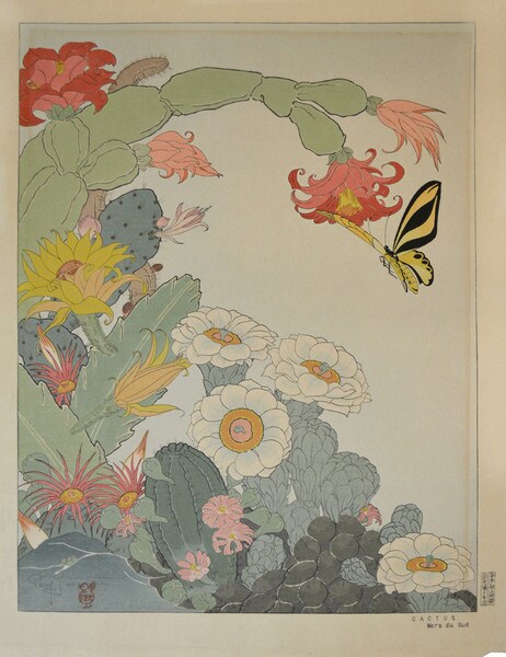 CACTUS Mers du Sud by Jacoulet, Paul, Woodblock Print