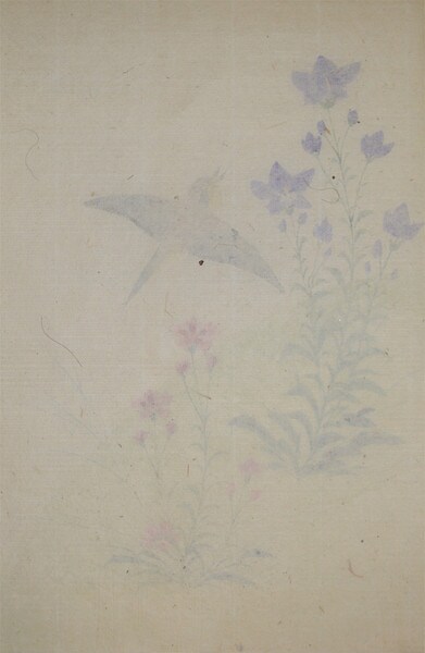 Sparrow, Blue Bellflower and Pink by Unsigned / Unknown Artist, Painting