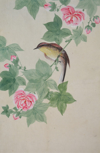 Bird and Cotton Rose by Unsigned / Unknown Artist, Painting