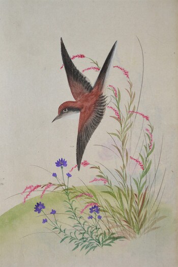 Bird and Autumn Flowers by Unsigned / Unknown Artist, Painting