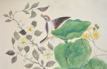 Sparrow and Ligularia by Unsigned / Unknown Artist, Painting