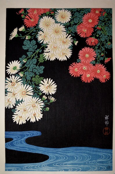 Chrysantheums and Running Water by Shoson, Woodblock Print