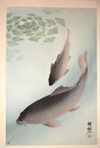 Carp by Shoson, Woodblock Print