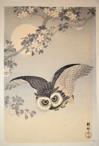 Scops Owl Flying Under Cherry Blossom and Full moon by Shoson, Woodblock Print