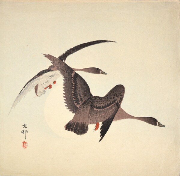 Two Whitefronted Geese in Flight and Full Moon by Koson, Woodblock Print