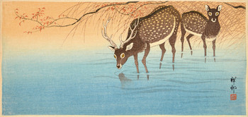 Deer Near Waterside by Shoson, Woodblock Print