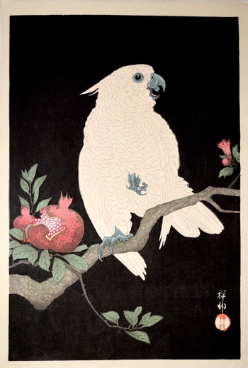 Cockatoo and Pomegranate by Shoson, Woodblock Print