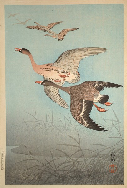 Wild Geese by Shoson, Woodblock Print