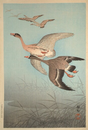 Wild Geese by Shoson, Woodblock Print