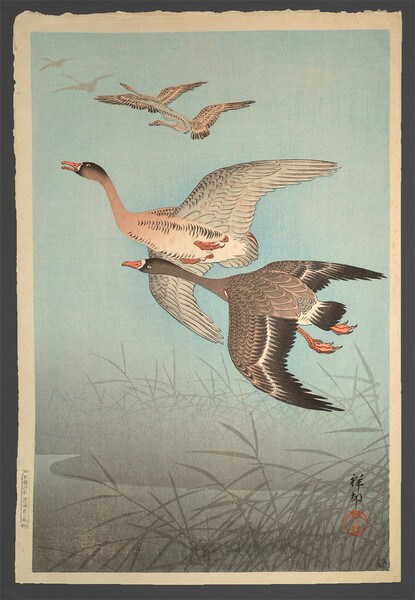 Wild Geese by Shoson, Woodblock Print