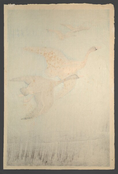 Wild Geese by Shoson, Woodblock Print