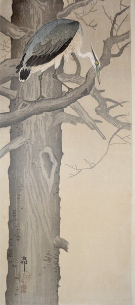 Grey Heron Looking Down from a Tree by Koson, Woodblock Print