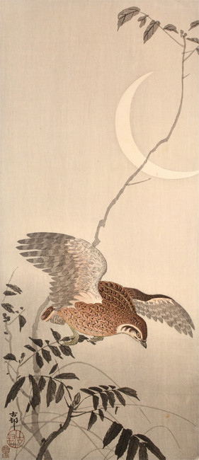 Quail in Flight, Crescent Moon Above by Koson, Woodblock Print