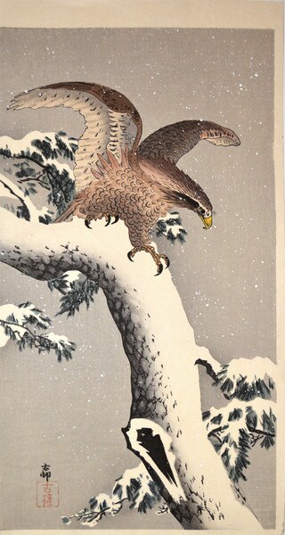 Eagle on a Snowy Tree by Koson, Woodblock Print