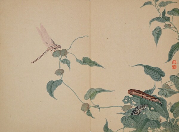 Dragonfly by Unsigned / Unknown Artist, Woodblock Print