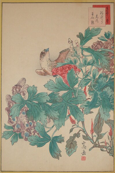 Skylark and Cockscomb by Sugakudo, Woodblock Print