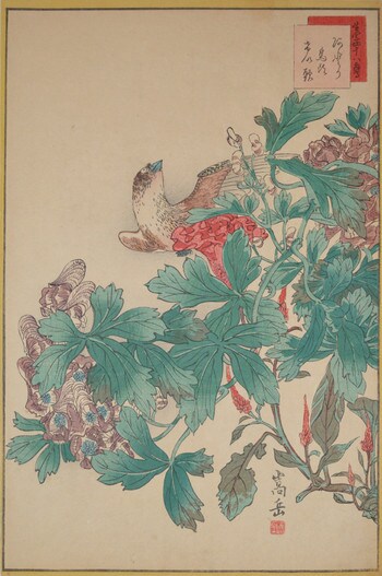 Skylark and Cockscomb by Sugakudo, Woodblock Print