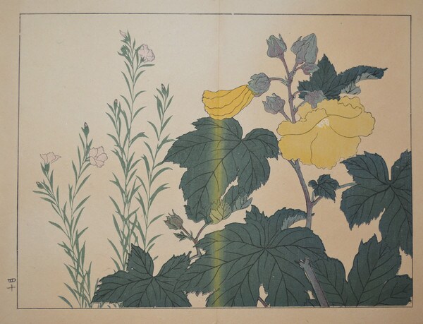 Cotton Rose and Dianthus by Hoitsu, Woodblock Print