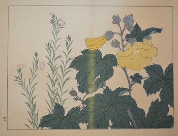 Cotton Rose and Dianthus by Hoitsu, Woodblock Print