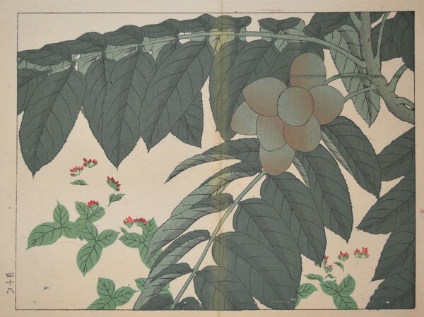Walnut and Water Pepper by Hoitsu, Woodblock Print