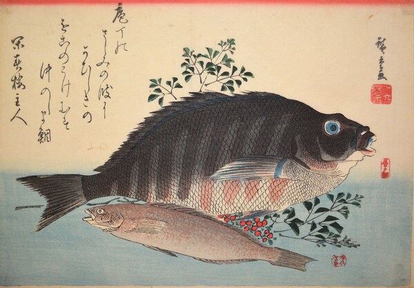 Shimadai (Striped Sea Bream) and Ainame (RockTrout) by Hiroshige, Woodblock Print