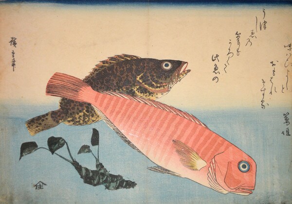 Amadai, Mebaru, and Horseradish by Hiroshige, Woodblock Print