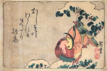 Two Mandarin Ducks in Snow by Hiroshige, Woodblock Print